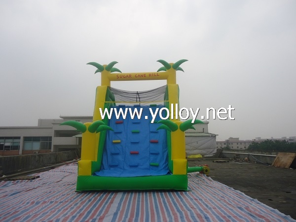 tropical inflatable water slide with pool