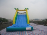 tropical inflatable water slide with pool