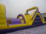 Forest with Animals Inflatable Slide Combo