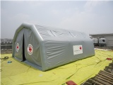 Structure: Air sealed
Size: 6mLX5mWX3mH
Material: PVC tarpaulin
Color: Grey color