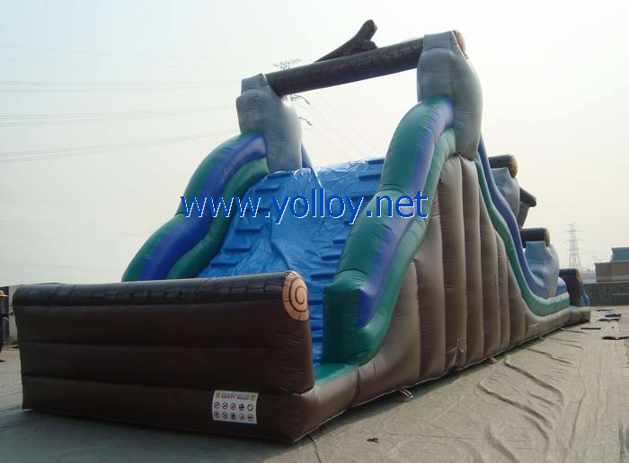 Wild Rapids Water Ride Inflatable slide