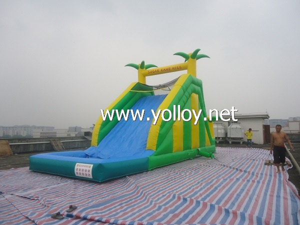 tropical inflatable water slide with pool