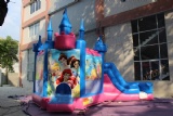 Disney princess party inflatable castle bouncy house