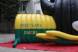 Inflatable Duck Helmet Sport Game