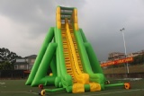 Newest huge inflatable slide for kids and Adult