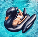 Inflatable giant swimming swan flamingo floating pool toys