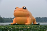 Giant inflatable golden toad