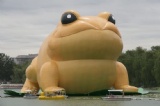 Giant inflatable golden toad