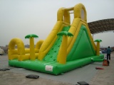 Tropical style inflatable bounce slide Toy with water pool