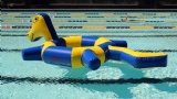 Air Floating inflatable Pool Water toys water bird