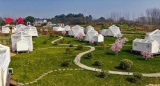 inflatable glamping bubble tent