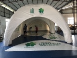 Inflatable X exhibition dome building