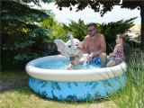 Round inflatable family swimming pool