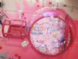 Inflatable bubble house ocean ball playground