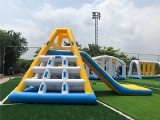 Inflatable Jungle Joe With Climbing Water Slide