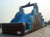 Wild Rapids Water Ride Inflatable slide