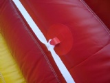 Big Rooster Inflatable Slide for event party