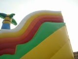 Dinosaur Allosaurus in jungle inflatable slide