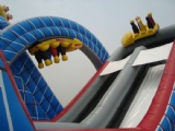roller coaster Wild one inflatable slide with obstacles