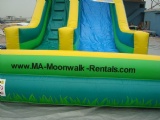 classic inflatable jungle slide