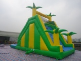 tropical inflatable water slide with pool