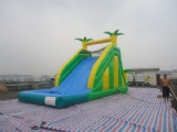 tropical inflatable water slide with pool