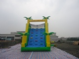 tropical inflatable water slide with pool