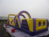 Forest with Animals Inflatable Slide Combo