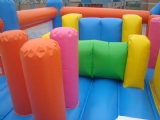 Shake inflatable bouncy castle Childrens park