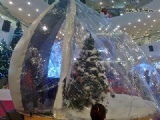 snow dome for Christmas party