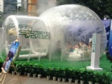 clear inflatable lawn bubble