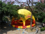 Material: PVC tarpaulin
Size:3m diameter or custom
Color:custom-making