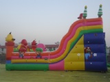 Super Mario and angry bird inflatable slide