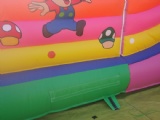 Super Mario and angry bird inflatable slide