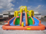 inflatable water slide with pool