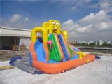 inflatable water slide with pool