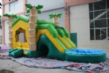 Inflatable 3D Tropical Combo