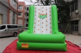 Interesting Green inflatable climbing wall for summer holidays