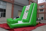 Interesting Green inflatable climbing wall for summer holidays